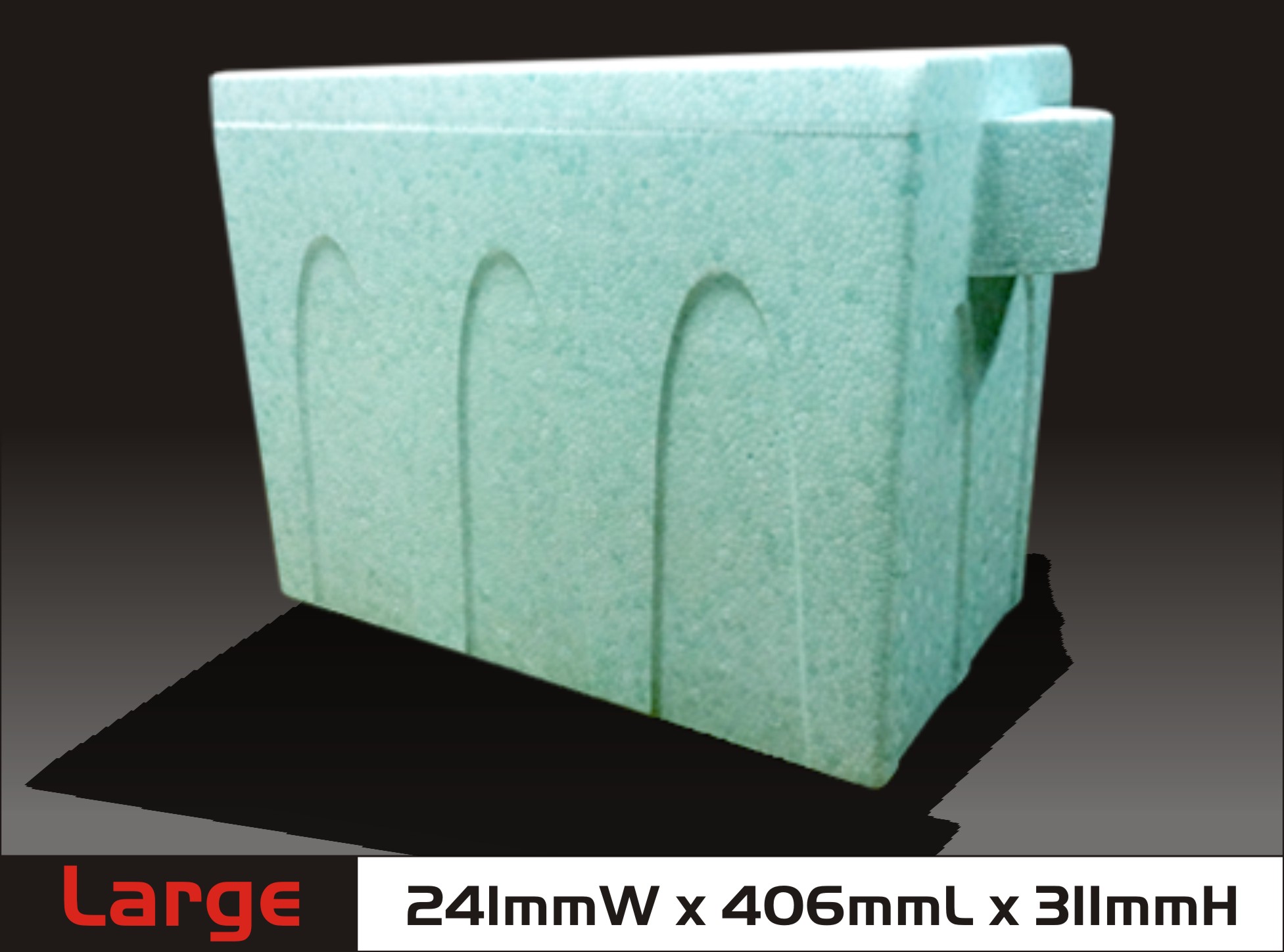 Large Cooler