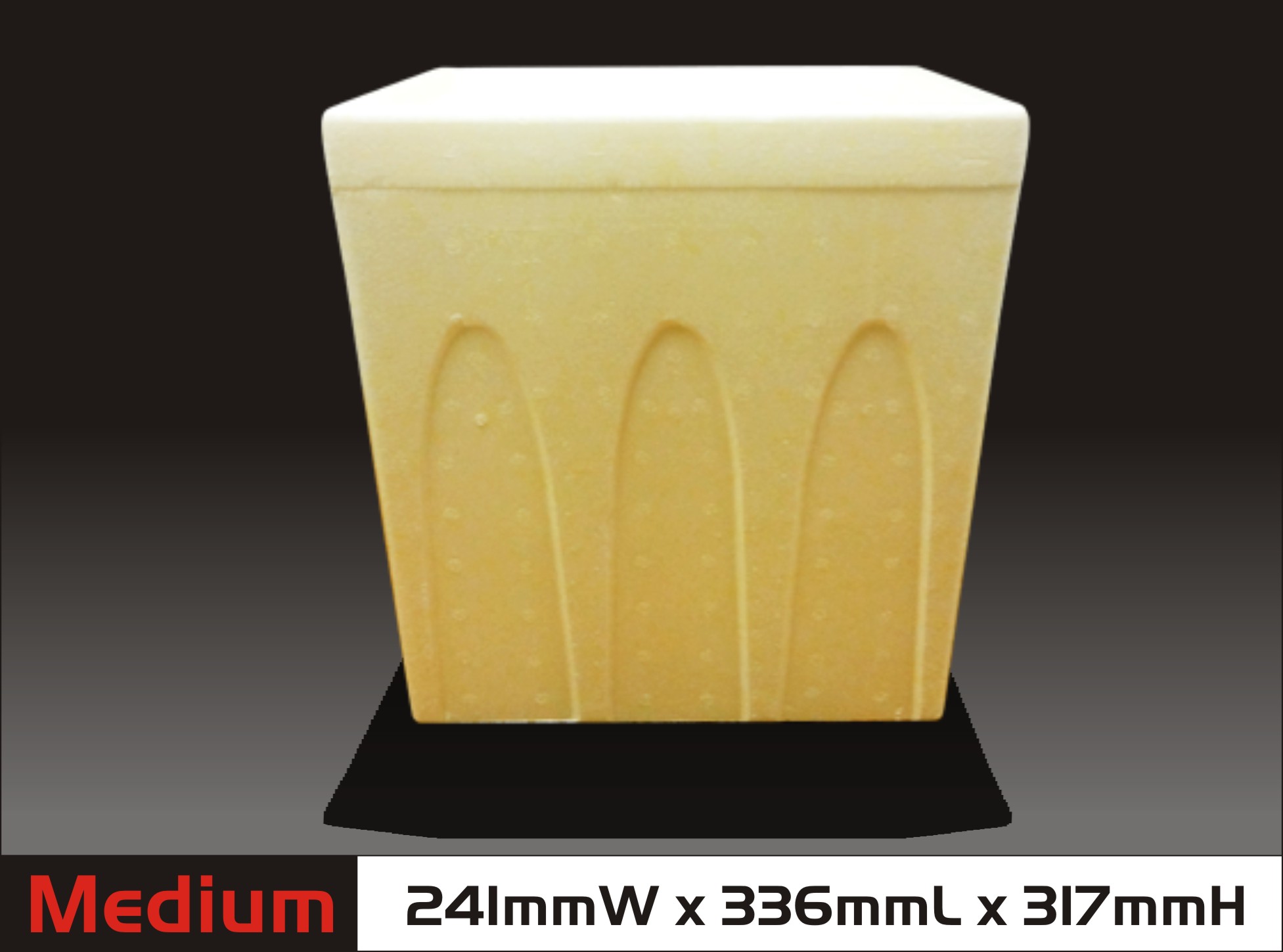 Medium Cooler